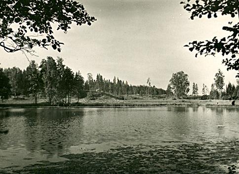File:Tammiku järv ja maastik Simuna kihelkond [Eesti Rahva Muuseum 484-80_www.muis.ee].jpg
